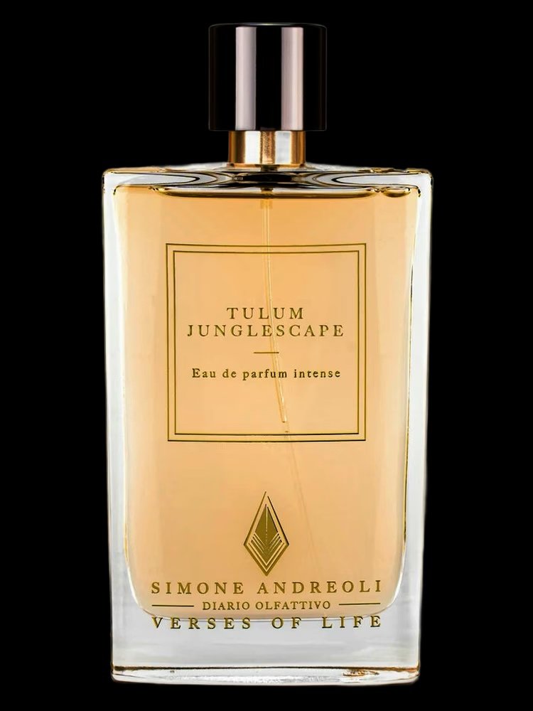 img_2993 Tulum Junglescape Simone Andreoli للجنسين
سيموني أندريولي تولوم جانغل سكيب - الصورة 1